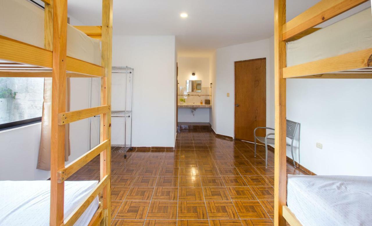 Casa Flamingo Apartment Valladolid  Exterior photo